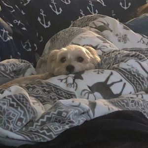 Meet your Posher, Suzze